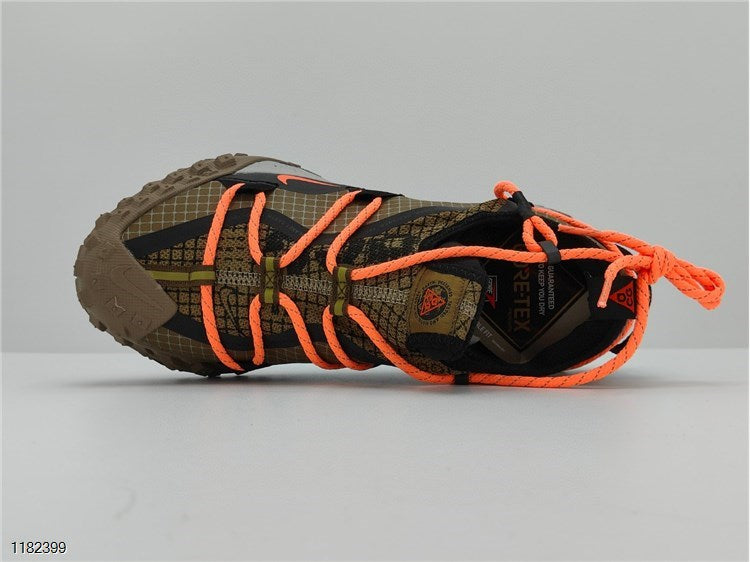 NIKE ACG Mountain Fly Low GTX SE