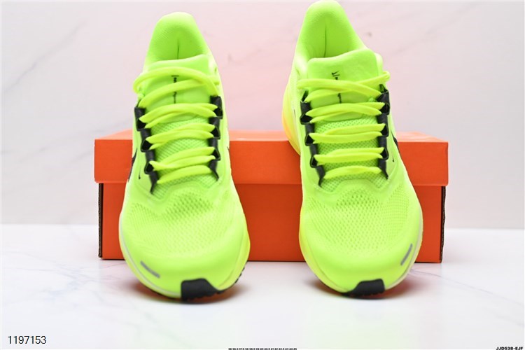 Nike Air Zoom Pegasus 41